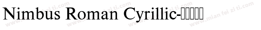 Nimbus Roman Cyrillic字体转换